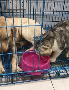 |幽默笑话:今天和女友回老家,带她玩一下小时候的“游乐场”