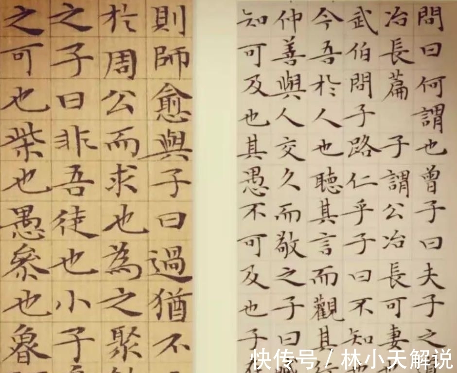 书法展&从全国大学生书法展作品,看当代书法发展的喜与忧