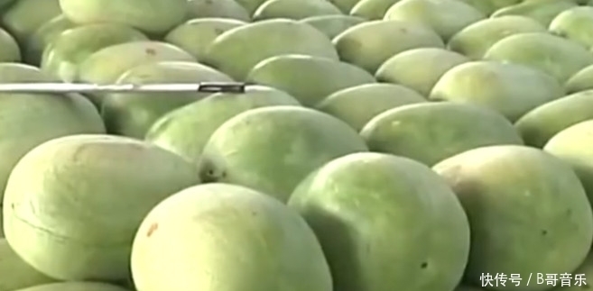 以前一斤5毛钱的农村水果,如今有钱也买不到,香甜多汁你吃过没