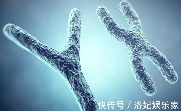 碱性|有人连生几个都是“女儿”,其中的原因你知道吗备孕夫妻要知道