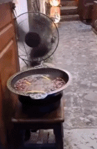 |搞笑GIF:当时我也很绝望 是她非得带我出去玩