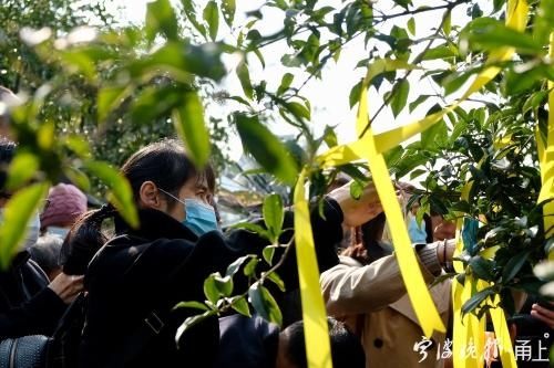  集体|一首《树葬》见证一场告别，21户树葬者家庭集体送别亲人