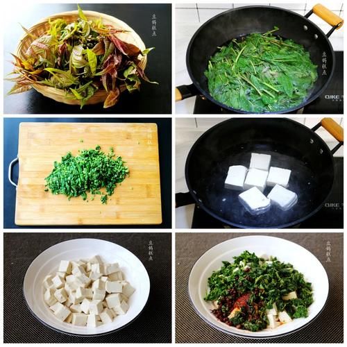 适合春天吃的，5道凉拌菜，顺应时节，鲜嫩不失营养