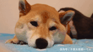 过年打扫卫生，一个妙招让家里变干净，太实用了～