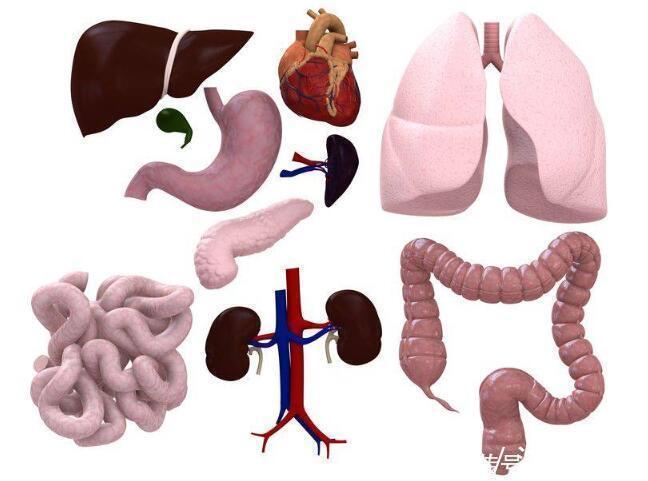 疼痛|不可避免的伤痛？晚期癌症的死亡，究竟死于疼痛，还是器官衰竭