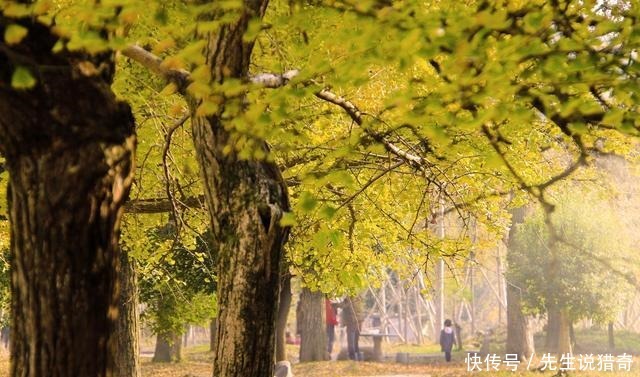 依山傍水說的就是這裏,蘇浙皖三省交界的長興,是個低調的好地方