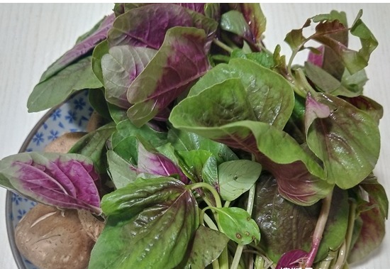 南方人最爱,5元炒一盘,孩子多吃长得快,头脑灵活身体棒