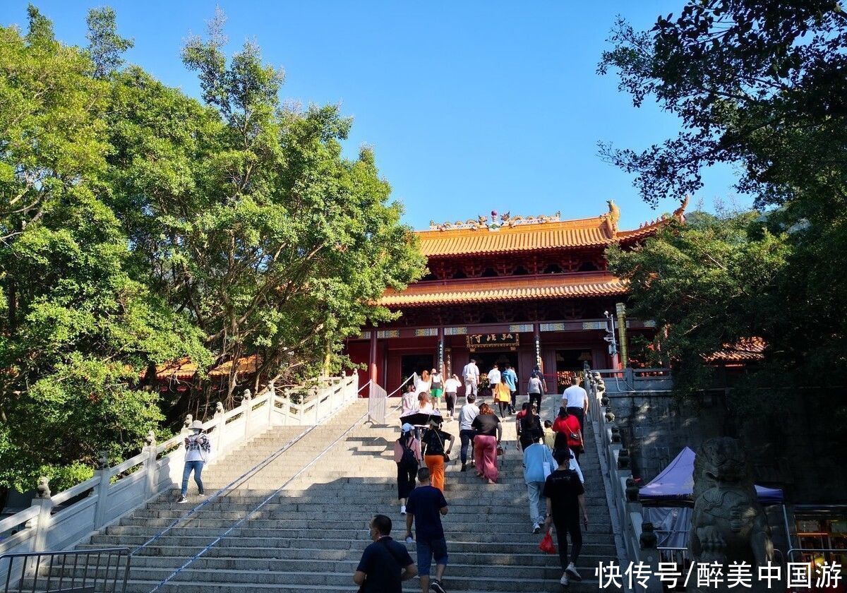 植物|深圳仙湖植物园，植物花卉形态各异，湖光山色，妙趣横生