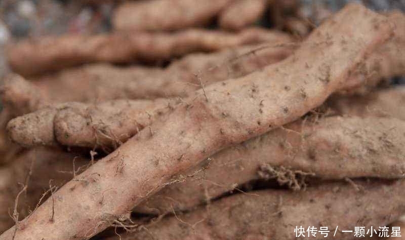  早知|十个人九个腰疼，此物煮来吃，腰不疼了，腿不酸了，早知早健康