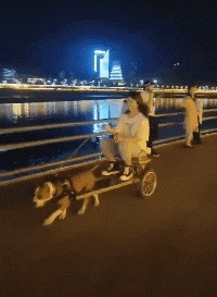 |搞笑GIF:这就是你们想要的大长腿小姐姐吗,真心厉害了啊