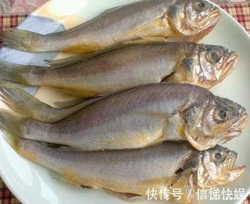 食用价值|每一口孩子都吃的好满足,外焦内软,隔着屏幕都能闻到香!香!香