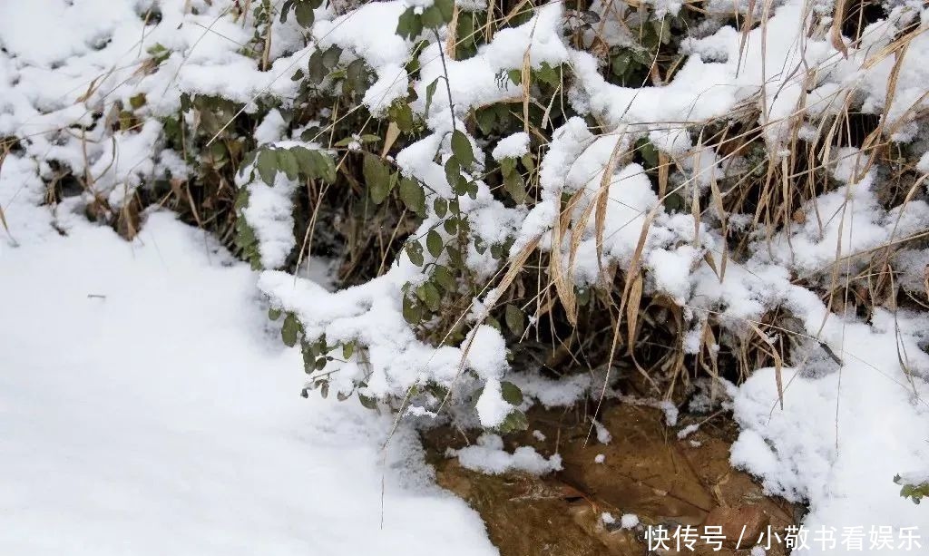 美如画|冬日崇信，动人雪景美如画