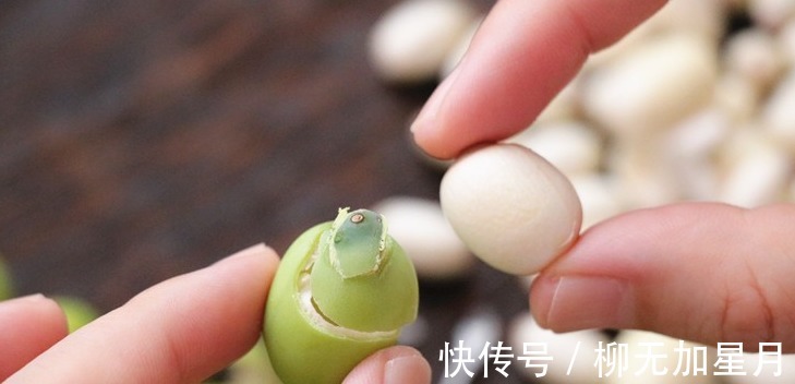 美味|夏天1种高钾食材正当季，去皮煮一煮，营养美味，过阵子就少了！
