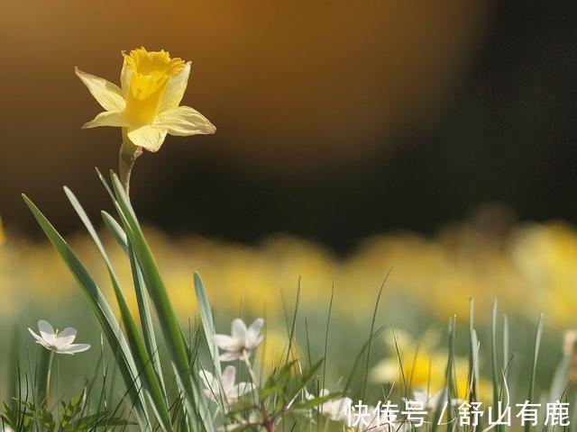 福运&“一念舍得,一生顺遂”:50岁后有福运的人,都舍得这4样东西