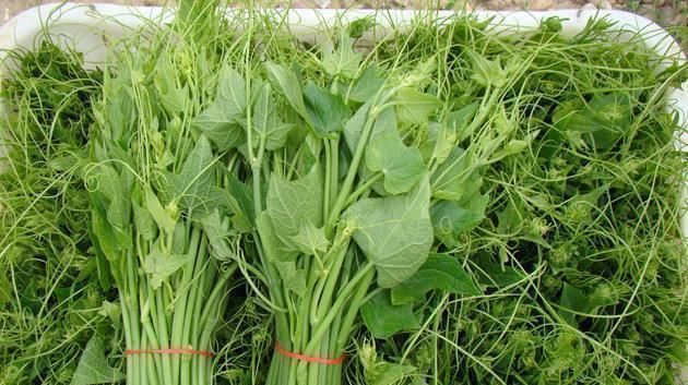 龙须菜|女人不想变黄脸婆,不妨多吃3种食物,补脾养血、健胃安神