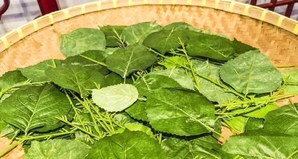 尿酸|它是痛风的“超强天敌”，长期吃下去，尿酸就会下降