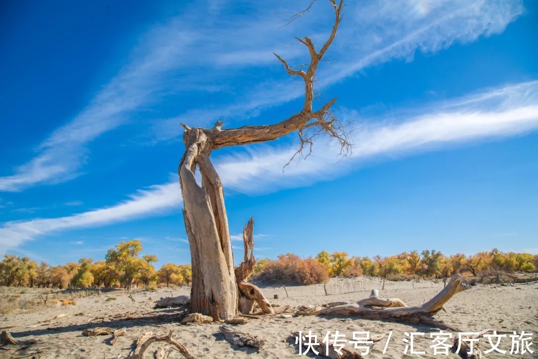 八道桥|毫无悬念！今年最美的国内秋天，果然还是这里……