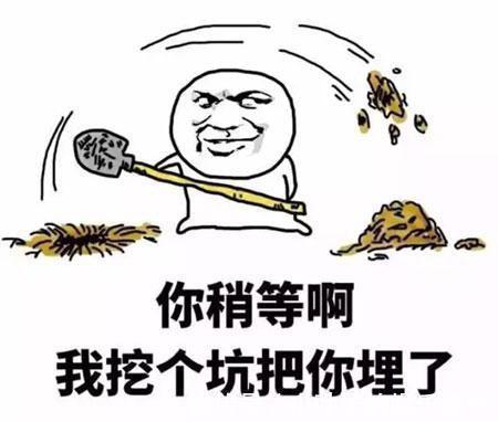 |十条段子：家有两只猫天天秀恩爱，我给分别关起来了！