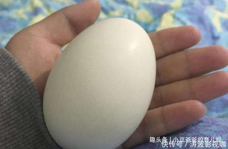 宝宝|因怀孕坚持吃鹅蛋孕妇就算再无知,也别拿宝宝生命开玩笑