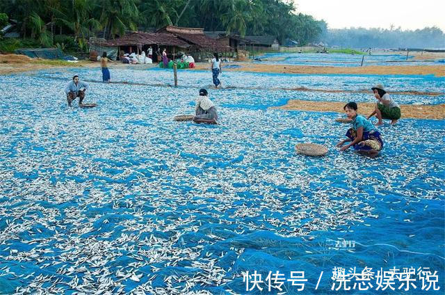 旅游业|实拍缅甸渔村渔民海边赤脚晒鱼干，年轻人想靠旅游改变命运