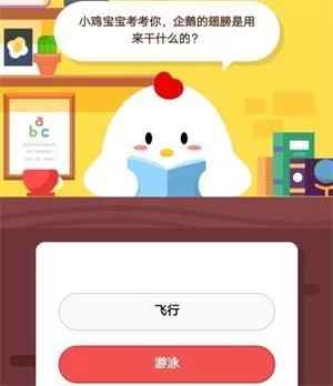 企鹅的翅膀有什么特点