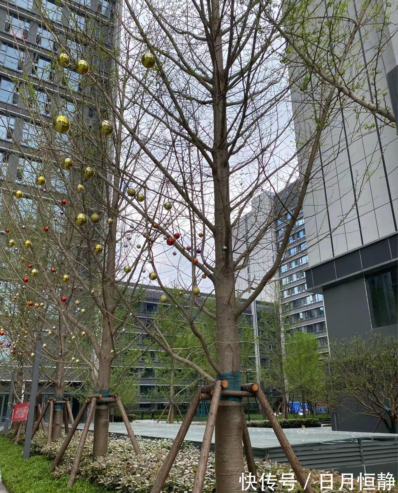 网签|干货满满!二手房交易小手册让你认清“复杂”的交易流程。