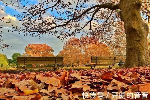 |早安 朋友圈最好笑的那些段子