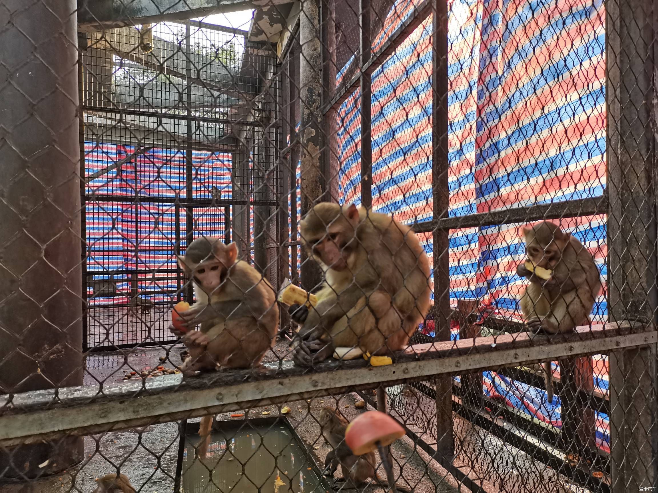 情人节逛森林公园