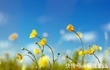 古诗词#十五首描写小草的古诗词,为君闲暇助兴,茶余饭后解闷