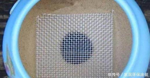 底孔|捡3种料垫盆底,土壤疏松透气、不板结,花卉越长越有劲