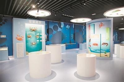  校园|中国湿地博物馆第三座“校园博物馆”开进求是之江二小