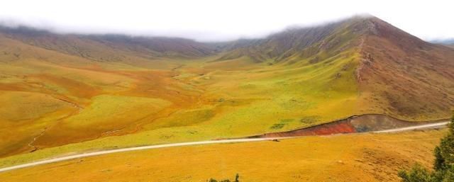 高原|这个地方被称为松潘高原，是西北高原的绿洲、扎营卢加草原、秀美牛羊成群的