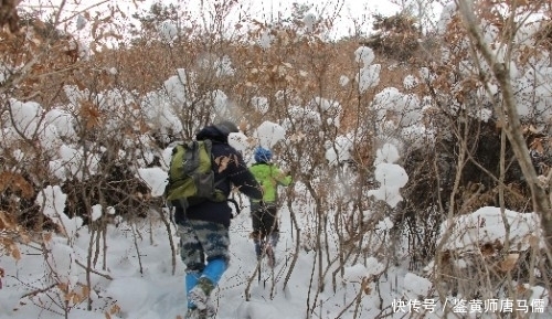 寻找|过雪山，寻找那片让人心醉的杉树林