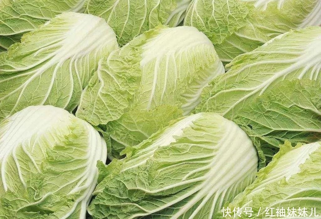 挑选|挑选大白菜,挑深绿叶还是浅绿叶?小贩:教你4点,买到好白菜!