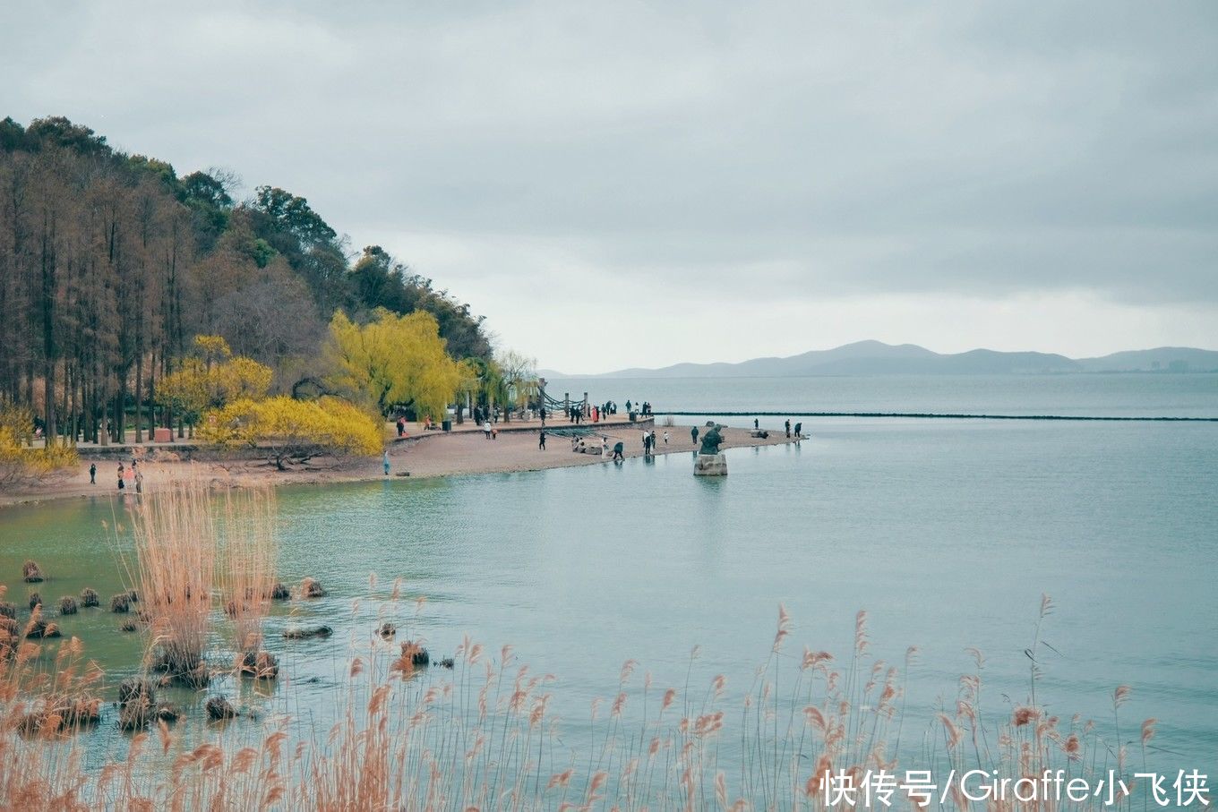 浪漫樱花季，情定鼋头渚