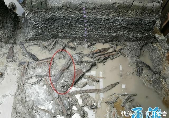 井头山遗址考古惊喜连连,发现中国最古老工艺最先进航海船桨