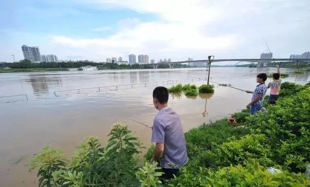 冬季钓鱼讲究人找鱼,学会这样选点打窝,让你狂钓大板鲫