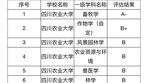 川农同寝六人考研纷纷上岸，成功背后是六人长期“三点一线”学习