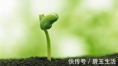 肾精|最养“精”的方子来了,老中医不外传的送子观音方,只说一遍