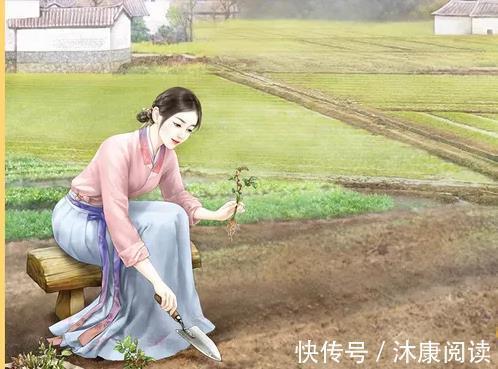 隔夜米#5本农家有喜种田文推荐,撸起袖子加油干,发家致富在眼前