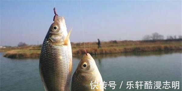 冬天钓大鲫鱼的六个诀窍