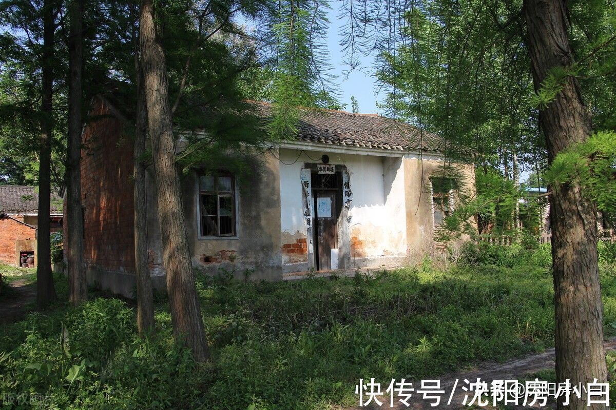 居住|六七十岁的老人,为什么那么钟爱低楼层的房子呢?