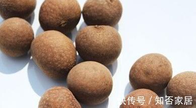 患者|子宮肌瘤不能吃什么？四種食物不宜觸碰，為健康了解下！