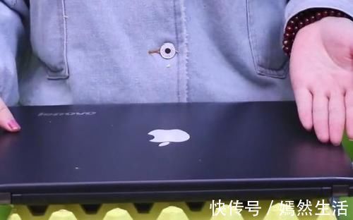 鸡蛋|扔垃圾时,鸡蛋托盘一定要留下,放阳台用处多,朋友见了纷纷学习