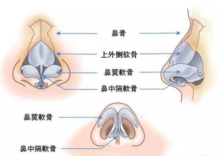 穹窿处 济南海峡整形隆鼻科普：好看的鼻子是什么样的？