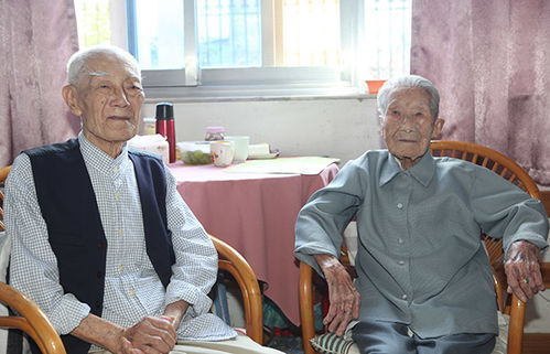 醋卷心菜|102岁老人养生小秘密，一生只爱吃两种菜，如今器官只有30岁