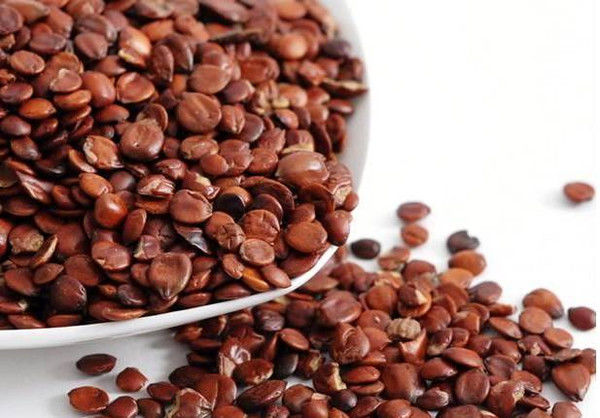 酸枣仁汤|治疗失眠，不要再迷恋万能的“酸枣仁”了，吃多了可能“上瘾”？