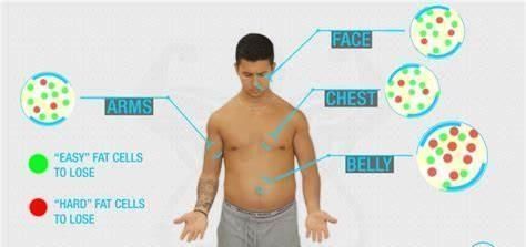 骑自行车|做多少有氧运动才能减掉腹部脂肪，不防试试这四步