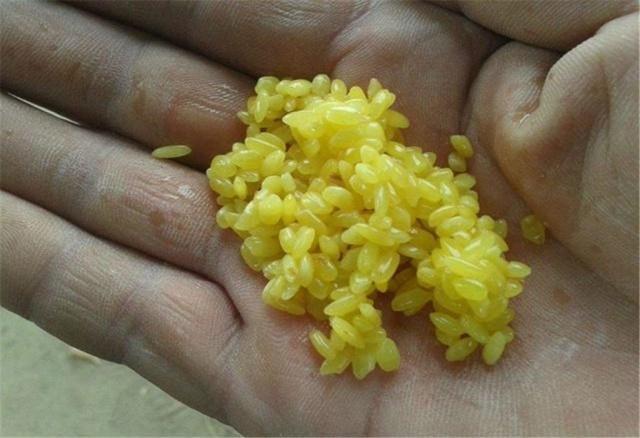 黄豆粉钓鲫鱼有奇效,再配上酒米做窝料,夏季钓鲫鱼的黄金搭档