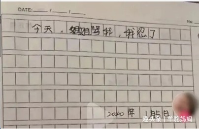 二胎|姐姐晒弟弟记仇本走红,每页都用“我忍了”结尾笑翻众人,太可爱